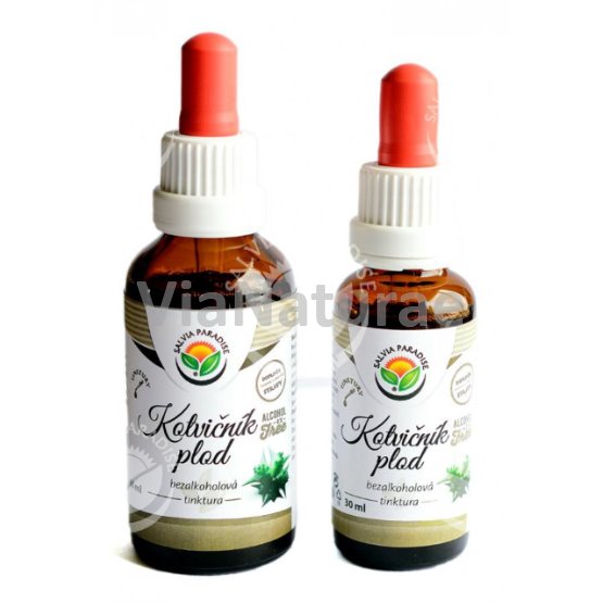 Echinacea purpurová 50 ml TINKTURA SALVIA PARADISE