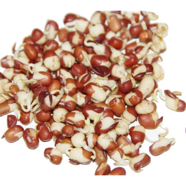 Adzuki - semená na klíčenie 50 g BIOMISKA
