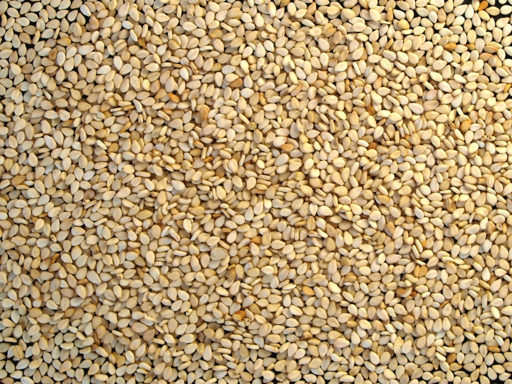 Sezam biely nelúpaný BIO 3 kg LES FRUITS DU PARADIS