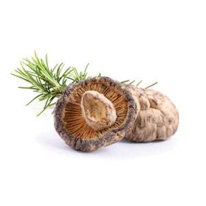 Shiitake sušené 100 g MYCOMEDICA