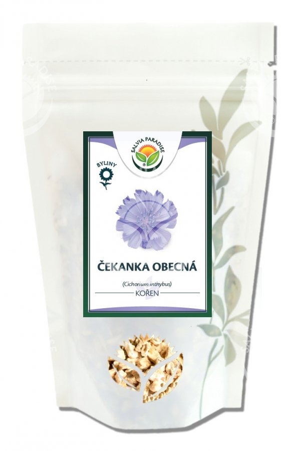 Koreň čakanky 100 g SALVIA PARADISE