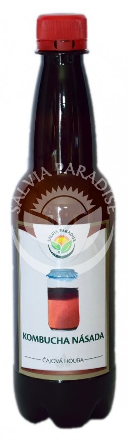Kombucha násada 300 ml SALVIA PARADISE