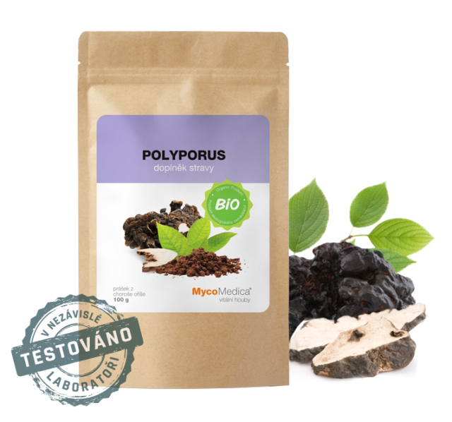 Polyporus prášok BIO 100 g MYCOMEDICA