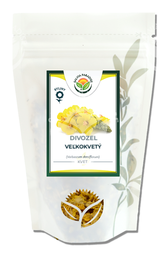 Divozel veľkokvetý - kvet 40 g SALVIA PARADISE