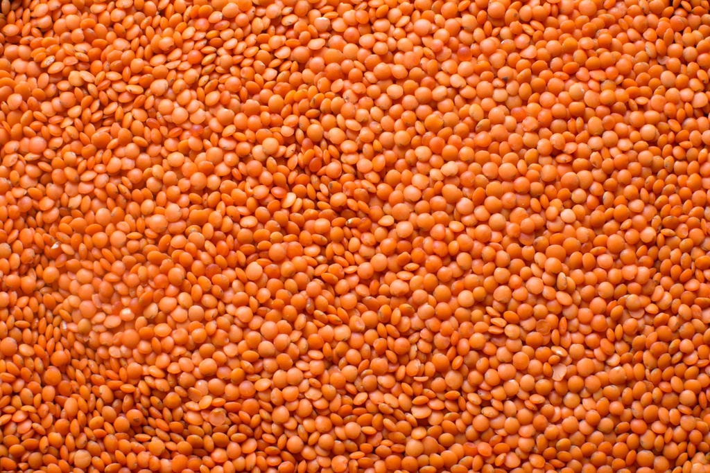 Červená šošovica BIO 3 kg LES FRUITS DU PARADIS