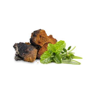 [MYC60] Reishi sušená 100 g MYCOMEDICA