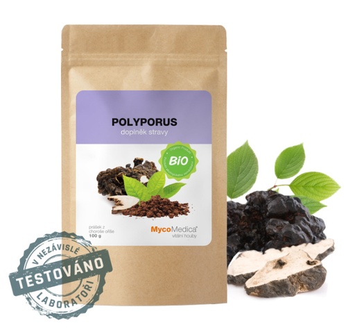 [TCMMYC55] Polyporus prášok BIO 100 g MYCOMEDICA