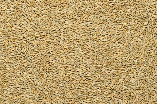 [P300005] Zimná raž BIO 25 kg PROBIO