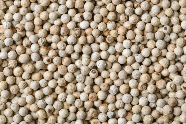 Biele korenie celé BIO 1 kg LES FRUITS DU PARADIS
