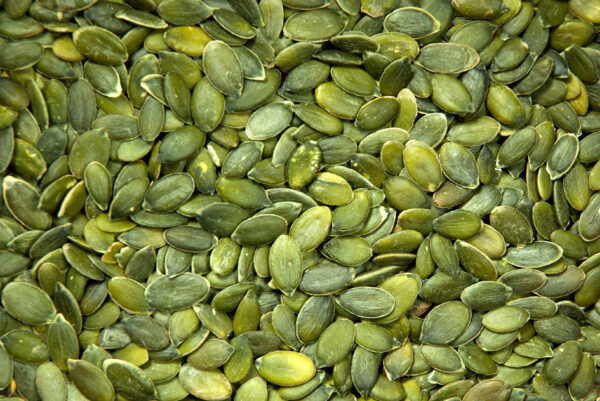 Tekvicové semená Bio 3 kg LES FRUITS DU PARADIS
