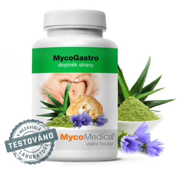 MycoGastro zmes na prípravu nápoja 90 g MYCOMEDICA