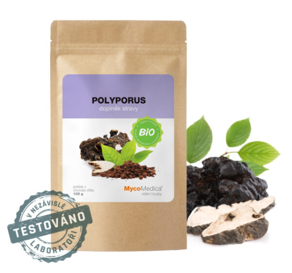 Mycomedica Polyporus prášok BIO 100 g MYCOMEDICA