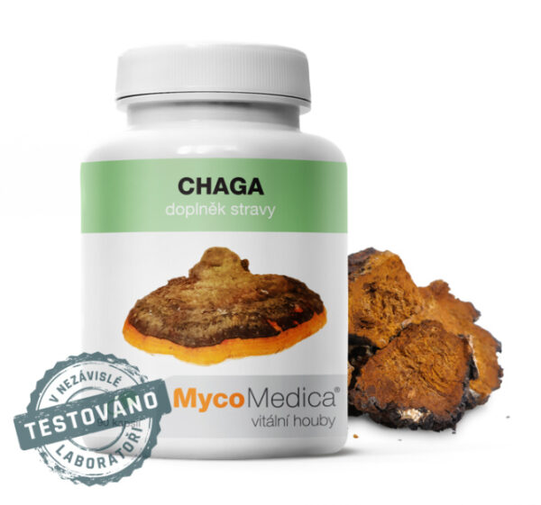 MycoMedica Chaga 90 kapsúl MYCOMEDICA