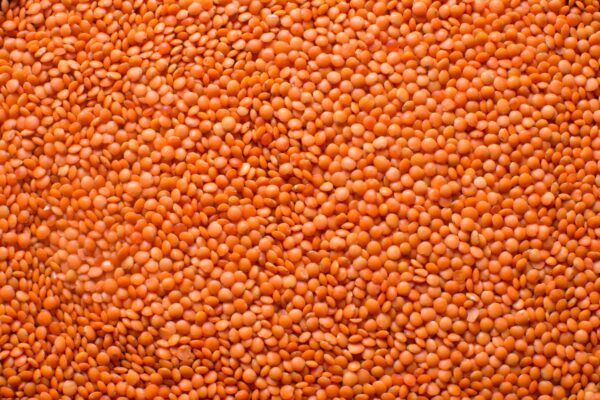 Červená šošovica BIO 3 kg LES FRUITS DU PARADIS